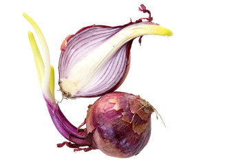 red onions whole and half with sprouts isolated on white