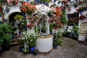 courtyard decorated with flowers, Cordoba, Spain
