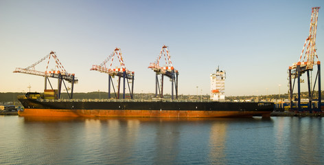 Fototapeta premium container operation in port, Durban, South Africa