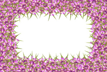 Fototapeta premium Abstract red purple unknown flowers frame