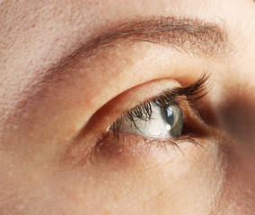 Obraz premium Female eye, macro view