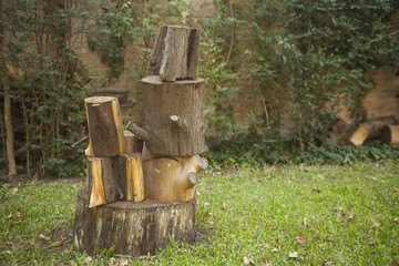 Piled stump seats in garden or park
