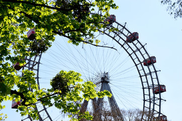 Leuchtende Blätter vor dem Wiener Riesenrad