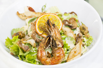 seafood salad on a plate on a white background