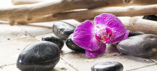 beauty atmosphere with zen pebbles and orchid