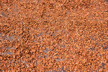Bark backgrounds