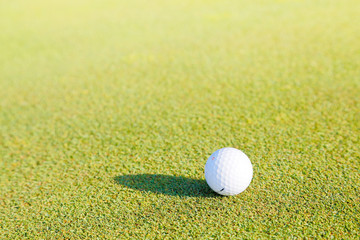 ゴルフボールと新緑の芝生