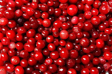 Cranberries close up