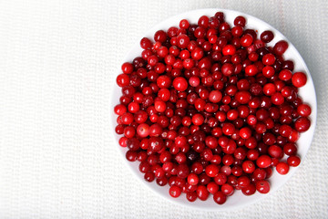 Cranberries in bowl on table close up