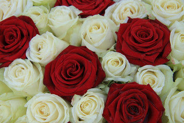 Red and white roses in a wedding arrangement