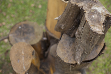 Piled stump seats in garden or park. Close up