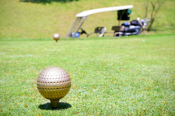 新緑のティーグラウンド