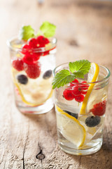 summer lemonade with berry and lemon