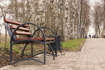 Fototapeta na wymiar bench in the park the sun's rays