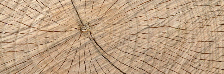 holz