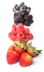 Strawberry, blackberry, blueberry and raspberry d