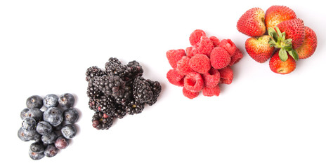 Strawberry, blackberry, blueberry and raspberry d