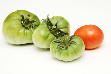 Tomato