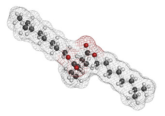 1,2-Cyclohexane dicarboxylic acid diisononyl ester (DINCH)