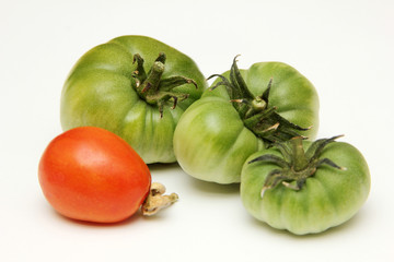 Tomato