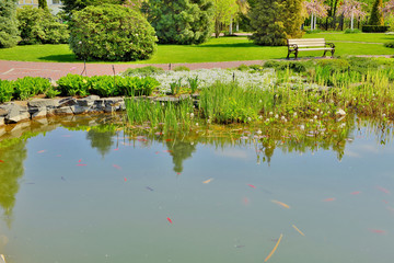 Фрагмент озера в парке