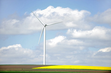 Fototapeta premium One wind turbine