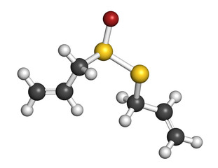 Allicin garlic molecule. 