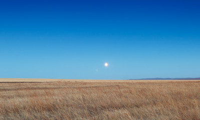 Sunrise in the steppes. Blue sky, yellow grass.