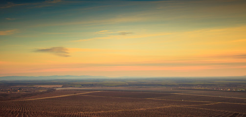 Landscape with vineyard in the mountains