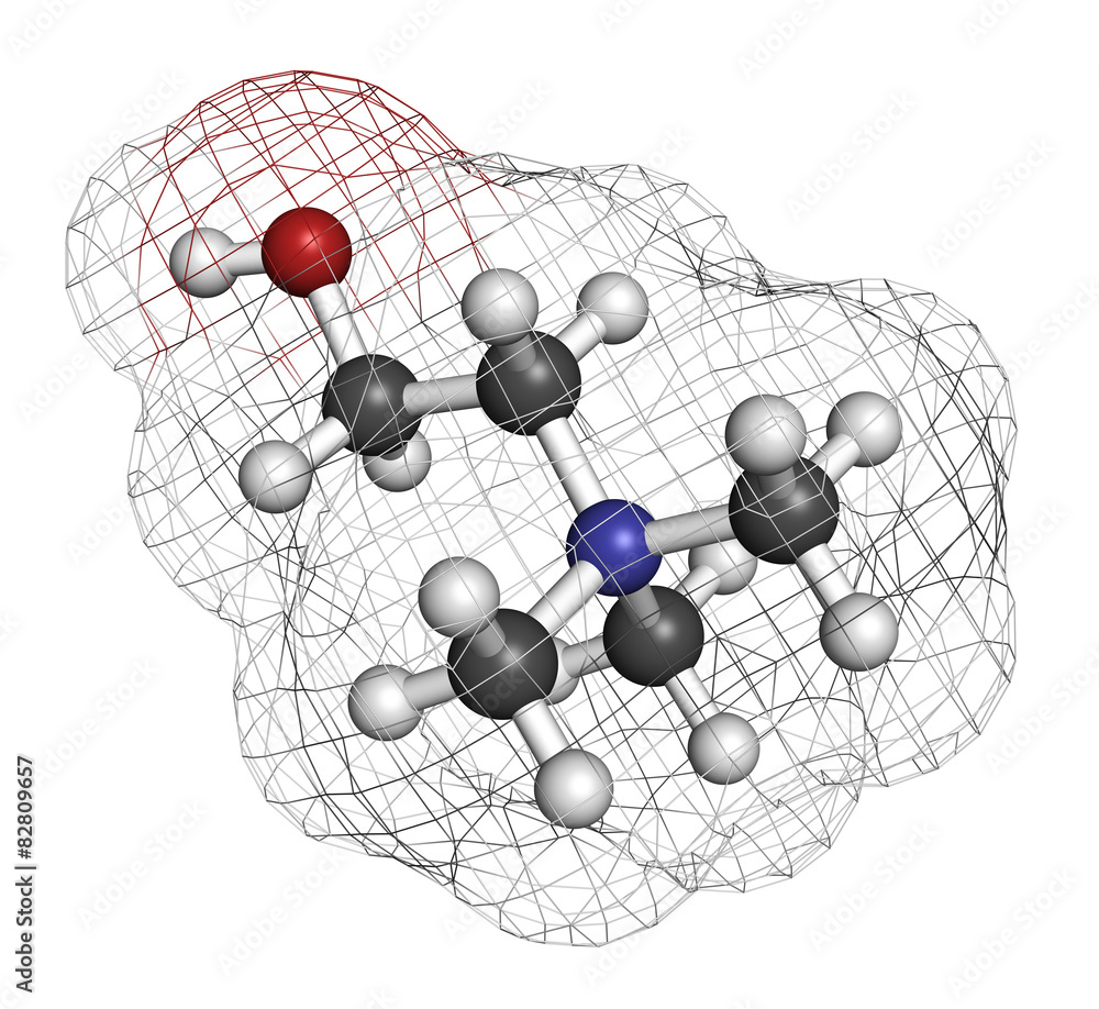 Sticker choline essential nutrient molecule.