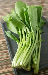 Organic Chinese Cabbage or Pok Choi on A Tray