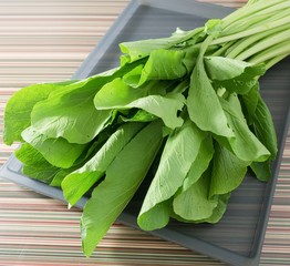 Organic Chinese Cabbage or Bok Choy on  Tray