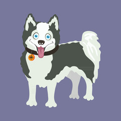 Yakutian Eskimo dog. Vector illustration.