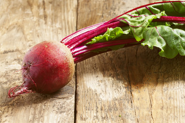 Fresh organic beetroot with tops, selective focus