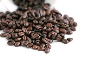 coffee bean