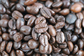coffee bean