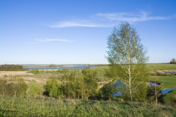Beautiful spring landscape