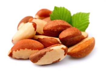 Fototapeta premium Brazil nuts