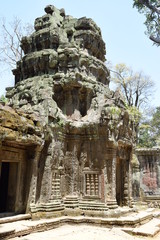 Tempelturm in Ta Prohm