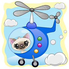 Cat in helicopter