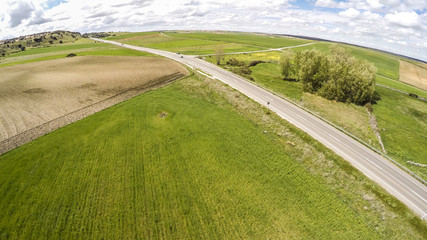 Green fields at springtime