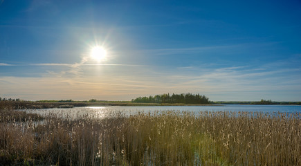 Evening on the lake