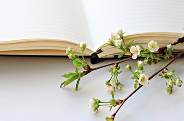 empty notebook and cherry blossom twig springtime
