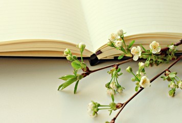 empty notebook  blossom twig springtime warm tones edit