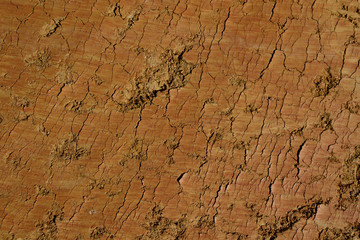 Textura o Fondo de Tierra arcillosa aplanada y agrietada  