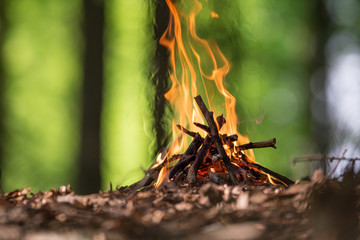 Bonfire in spring forest
