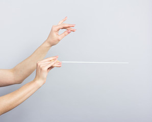 Female hands isolated on gray. Woman conductor. Female hands with a conductors baton. 