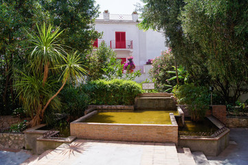 landscaping with ornamental pond and small palm trees