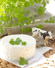 Fresh cottage cheese