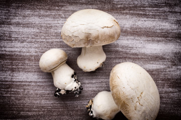 Champignon.